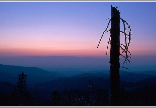 Abendblick vom Mooskopf