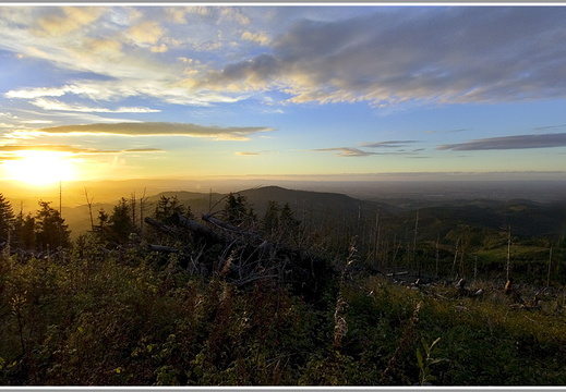 Abendblick vom Mooskopf