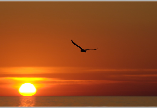Abendstimmung