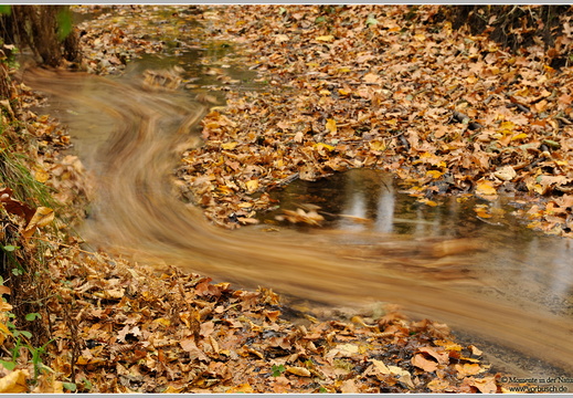 Herbstbach
