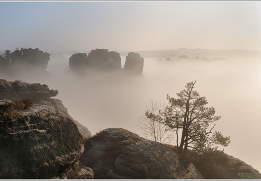 Elbsandsteingebirge nahe der Bastei im Morgennebel