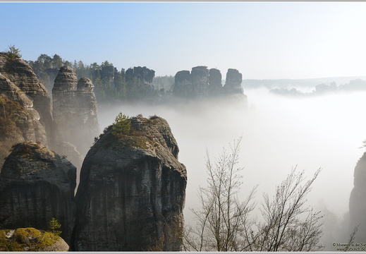 Elbsandsteingebirge nahe der Bastei im Morgennebel