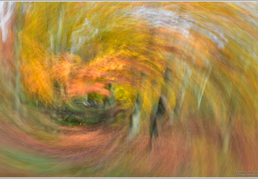 Herbstimpression