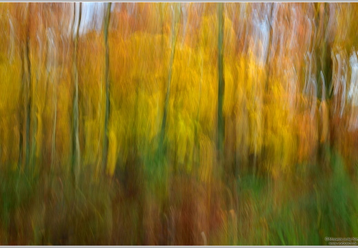 Herbstimpression 2