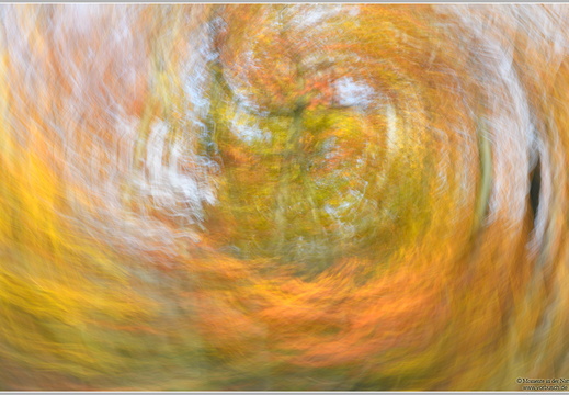 Herbstimpression
