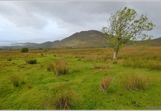 Conic Hill, Highlands