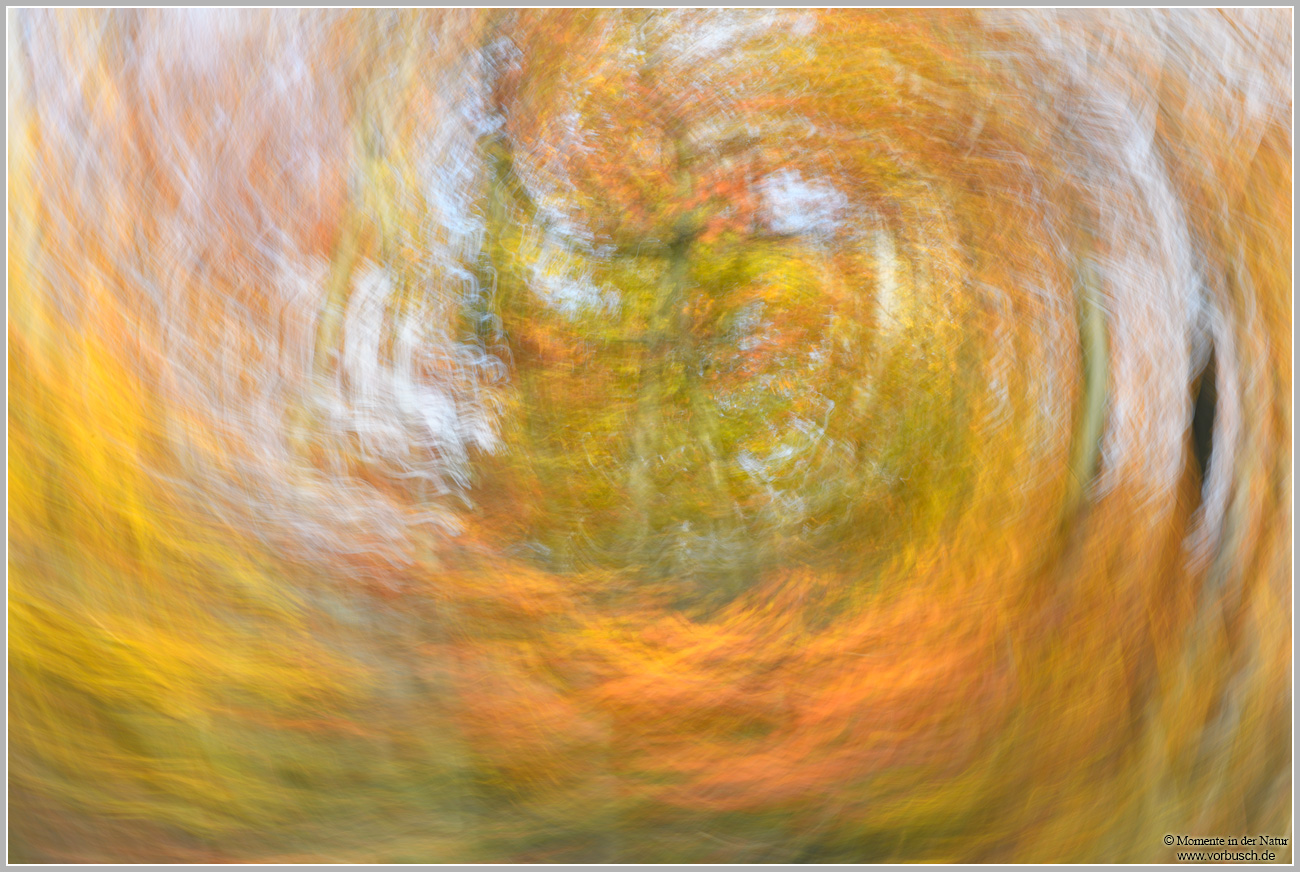 Herbstimpression3.jpg