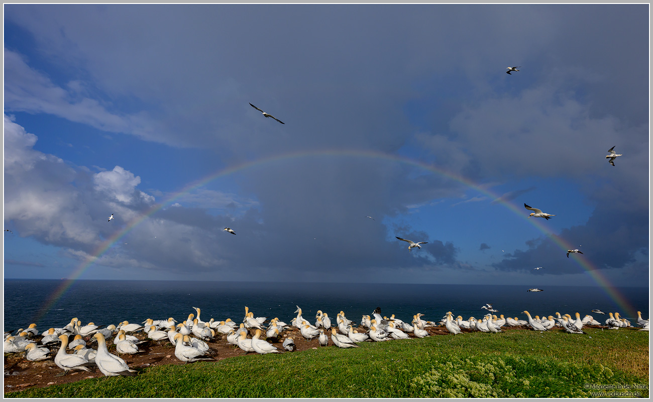 Regenbogen-Helgoland.jpg